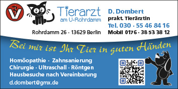 partner suchen berlin wedding